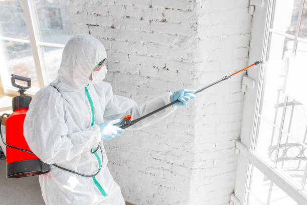  Southgate, FL Mold Removal & Remediation Pros