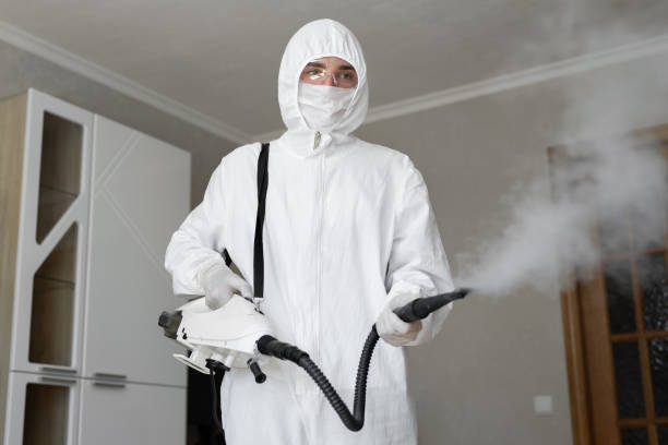 Best Black Mold Removal  in Southgate, FL